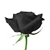 logo Dom Sub Living