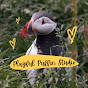 Playful Puffin Studio