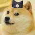 The Doge of Serbia