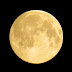 logo OlegAleksandr