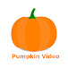 Pumpkin Video