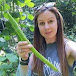 Erica's Little Welsh Garden