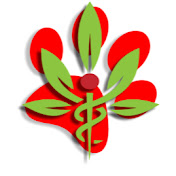 Reds CBD Oils For Dogs