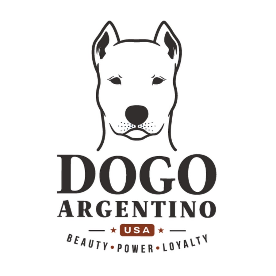 Dogo Argentino USA