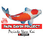 Papa Davin Project