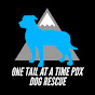 One Tail at a Time PDX