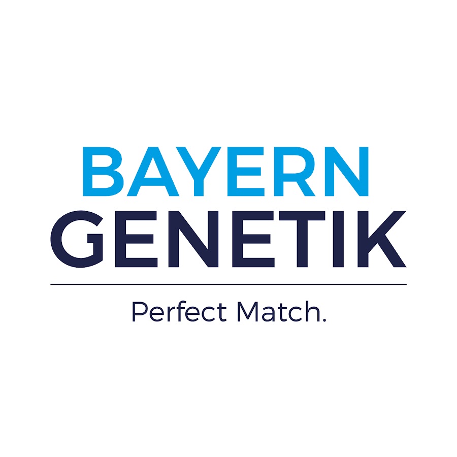 Bayern Genetik Nederland @Fleckviehkoeien