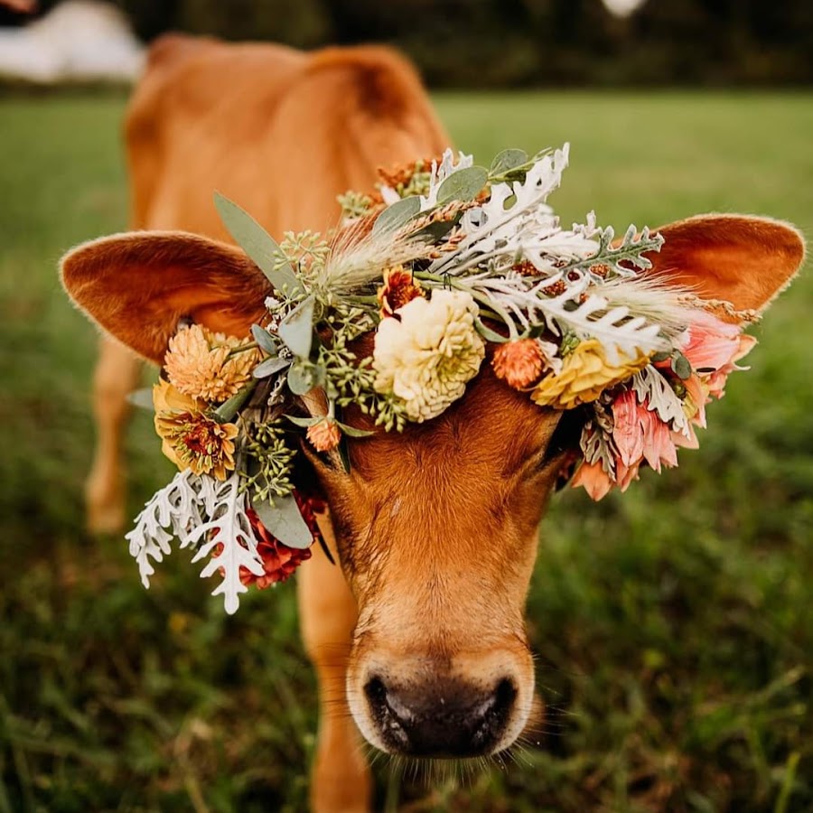 Steinmetz Family Farms