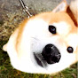 SHIBA DOG  RANMARU