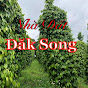 Nhà đất đak song