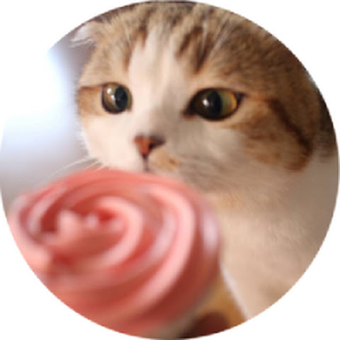 influencer-profile-picture