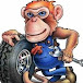 Grumpy Monkey Garage