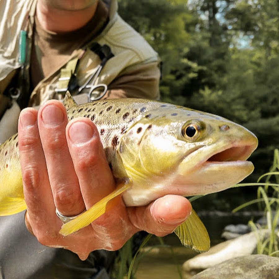 Splitting the Fly Rod (with VIDEO) - Troutbitten