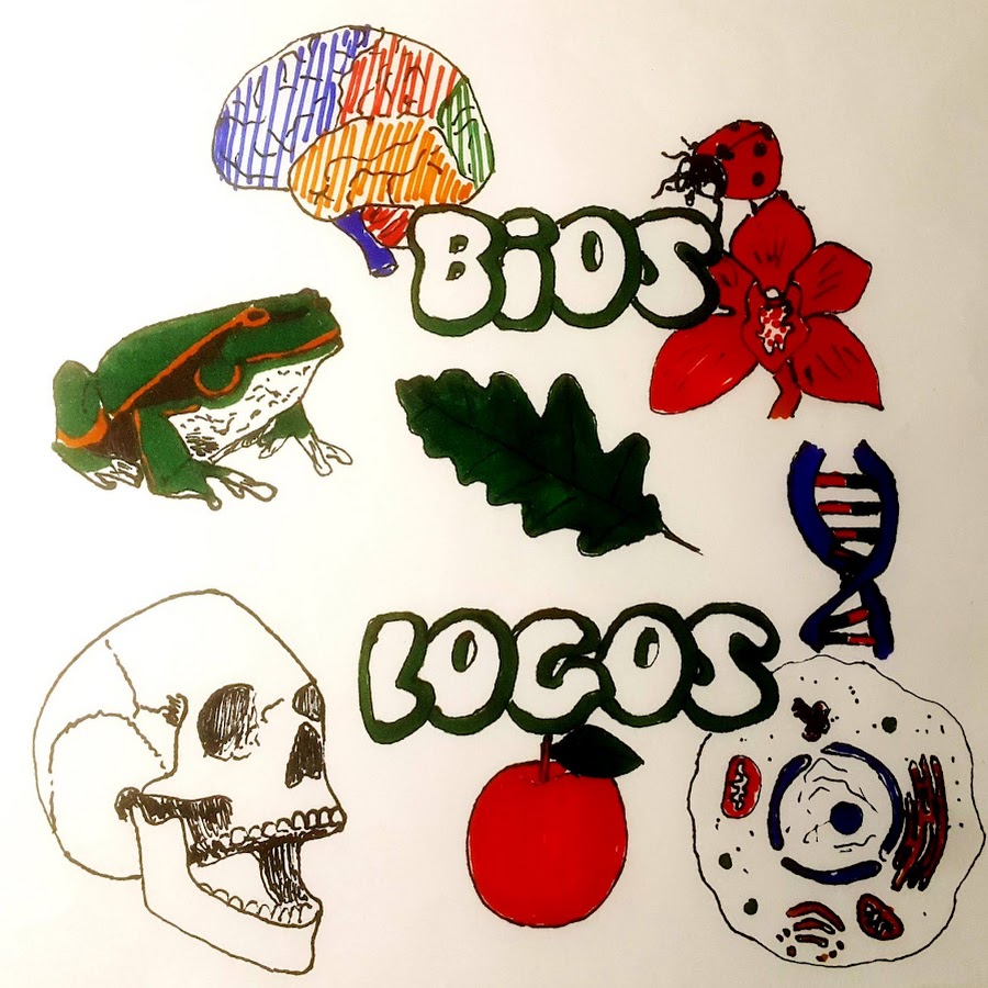 Bios Logos - YouTube