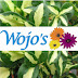 logo Wojos Greenhouse