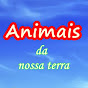 Animais da nossa terra