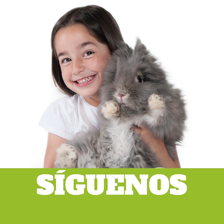 Everything about your pet @CyPmascota