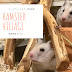 Hamster  Village