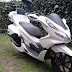 PCX Mucidi