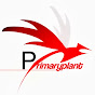 Primary Plant Ltd