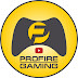 The Profire Gaming