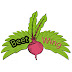 logo Beetwing