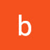 logo bormental02