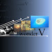 wonder V