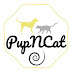 logo PupNCat