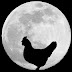 logo Fowl Moon Studios