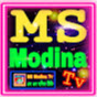 MS Modina Tv