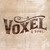 logo VOXELofficial