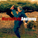 Martial Art Anatomy