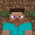 logo The Real Minecraft Steve