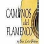 caminos del flamenco