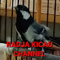 RADJA KICAU CHANNEL