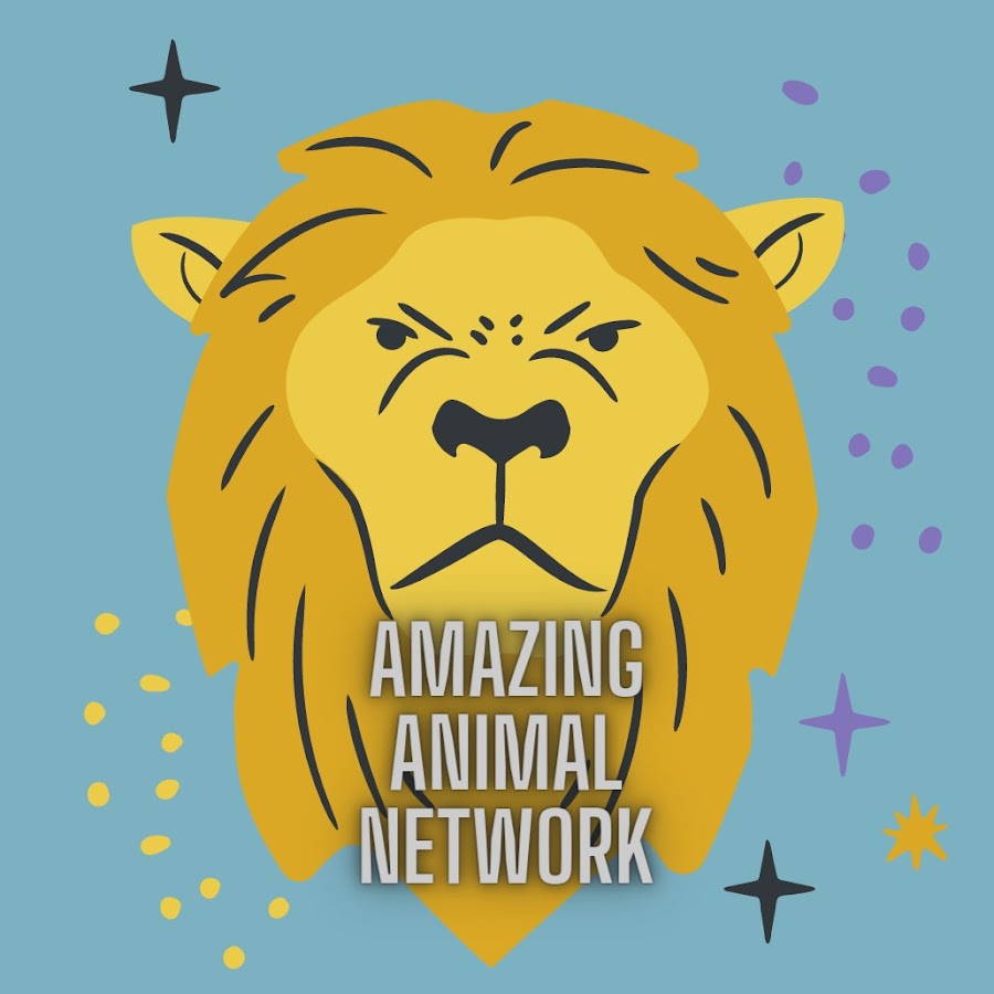 AMAZING ANIMAL NETWORK