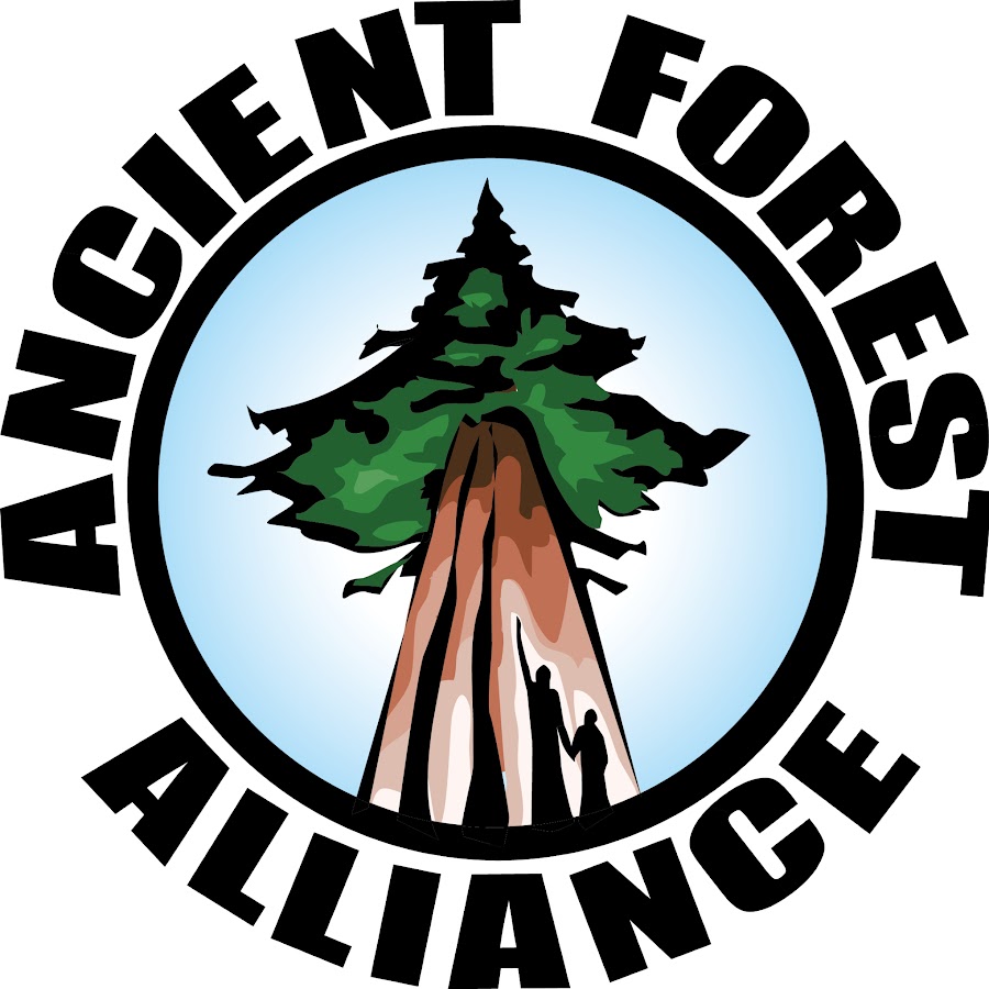 Ancient Forest Alliance @BCAncientForest