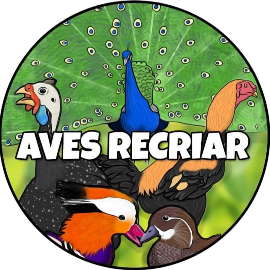 Aves Recriar