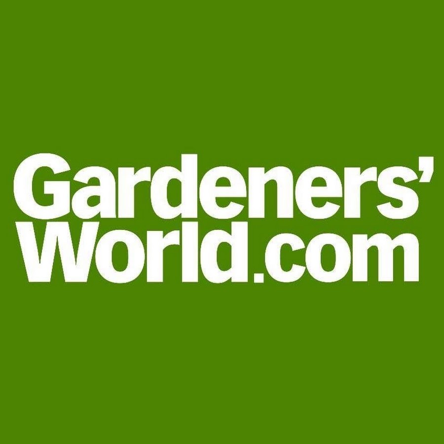 How to take Tomato Cuttings  BBC Gardeners World Magazine