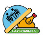 C&V channels