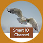 Smart IQ Channel