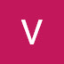 logo VoldemarStudio VS