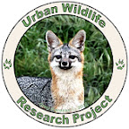 Urban Wildlife Research Project