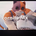 Fortnite Mx