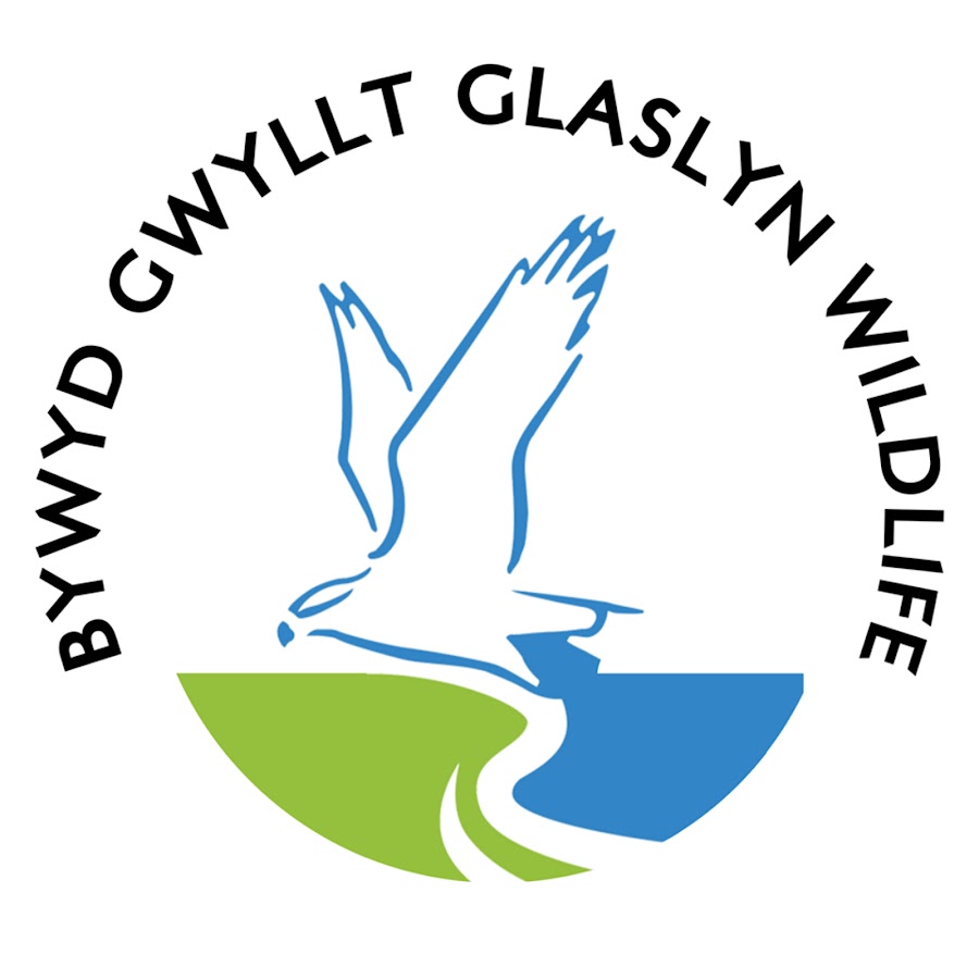 Bywyd Gwyllt Glaslyn Wildlife
