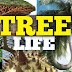 logo Tree Life