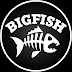 logo Igor Okunev (Bigfish)