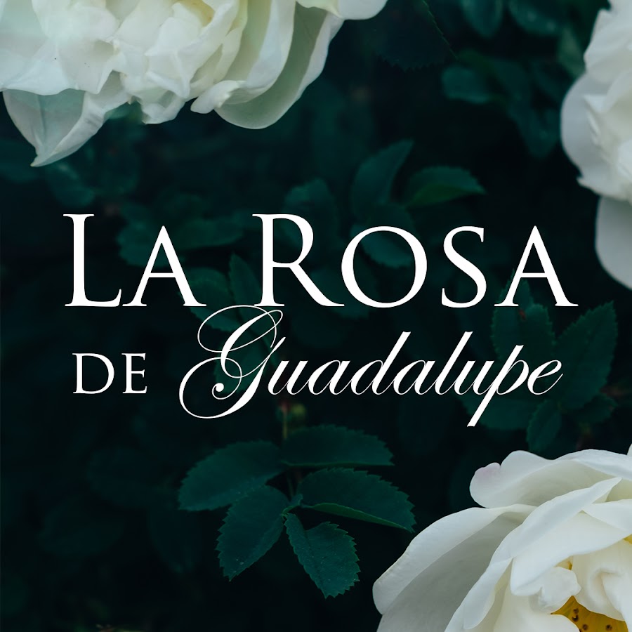 La Rosa de Guadalupe @larosadeguadalupeof