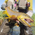 HARO FAUNA PESCA A MOSCA - HF FLY PESCA A MOSCA